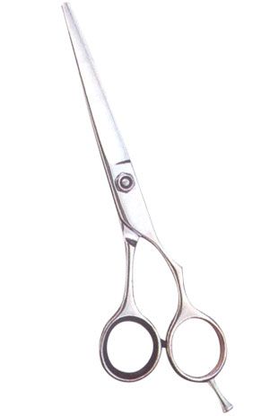 Professional Hair Cutting Scissors 